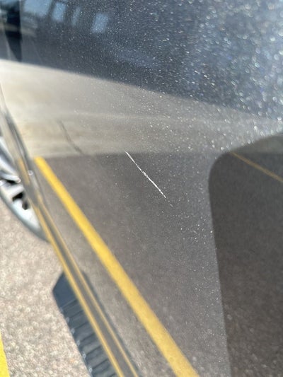 2019 Ford F-150 XL STX Sport