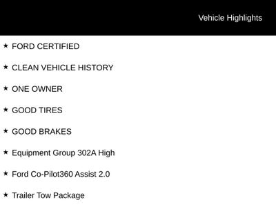 2023 Ford F-150 XLT 302A Sport