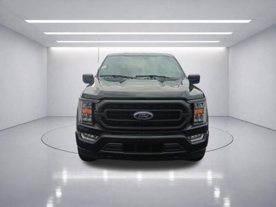2023 Ford F-150 XLT 302A Sport