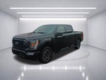 2023 Ford F-150 XLT 302A Sport
