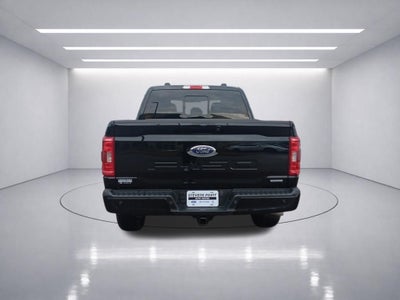 2023 Ford F-150 XLT 302A Sport