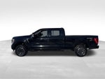 2023 Ford F-150 XLT Sport 302A