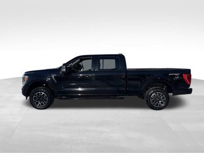 2023 Ford F-150 XLT Sport 302A