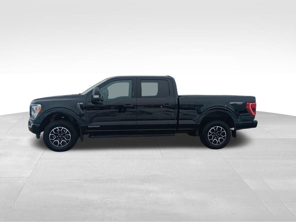 2021 Ford F-150 XLT Sport 302A