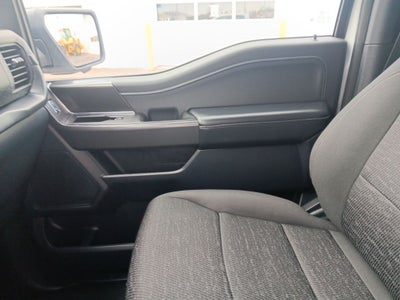 2024 Ford F-150 XLT 302A Sport