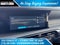 2027 Hyundai Palisade Hybrid Calligraphy Black Ink